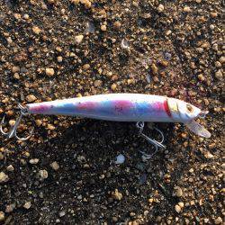 おはよタッチー