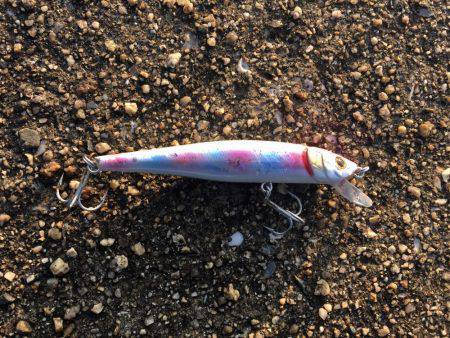 おはよタッチー