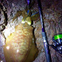 何とかギリギリキロアップ