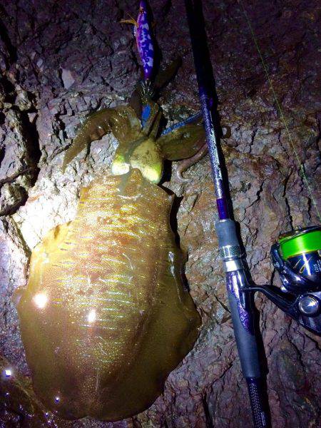 何とかギリギリキロアップ