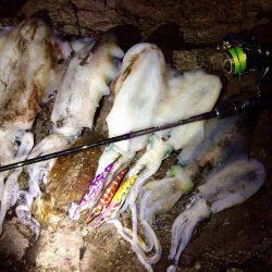 ロッド負傷につき…