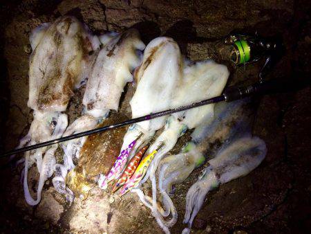 ロッド負傷につき…