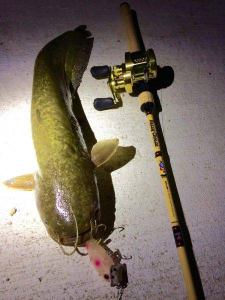 ナマズタックルでシーバス…