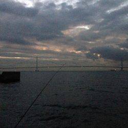 タチウオもアナゴも