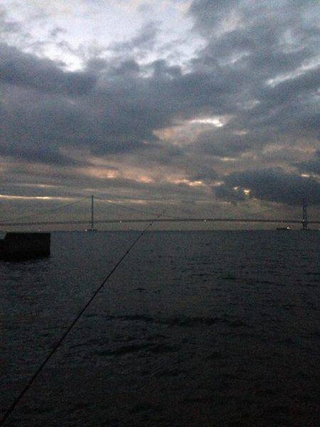 タチウオもアナゴも