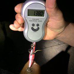 久々のエギング