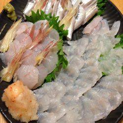 まさかのマゴチ