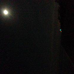 タチウオの群れ再び