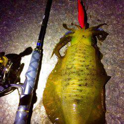 雨の前のエギング