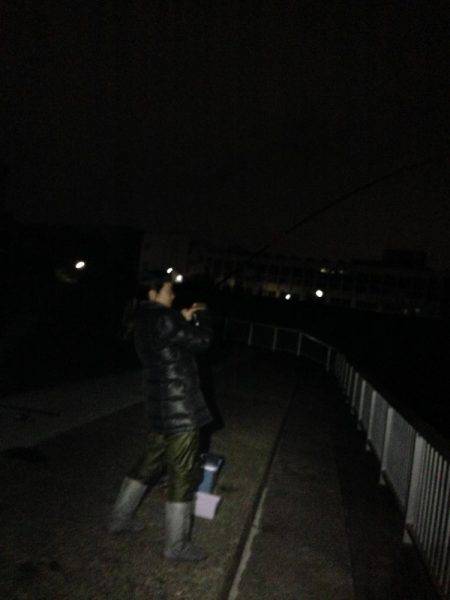 アナゴにガシラ