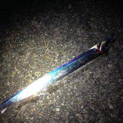 やっぱりウキ釣りはおもしろい