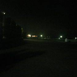 アジング釣果+オマケ