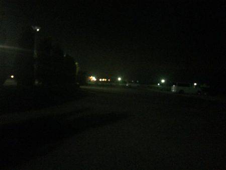 アジング釣果+オマケ