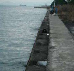 今年はデカイかも