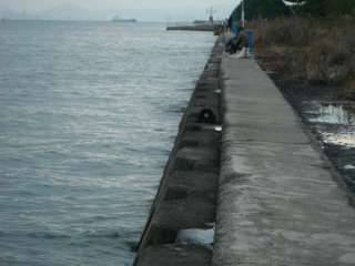 今年はデカイかも