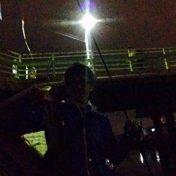 人生初シーバス！