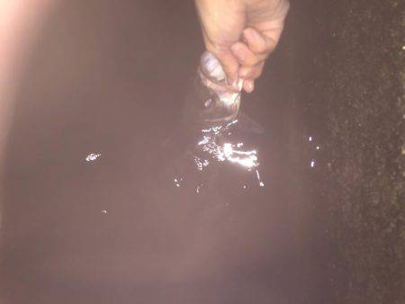 秋の夜長にシーバス