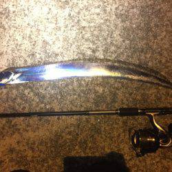 エギングのちタチウオ