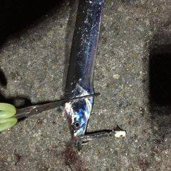 タチウオ  タコ