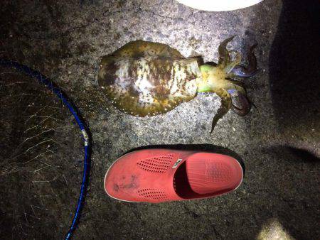 もうかなり寒いです