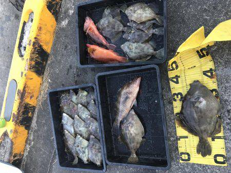 レンタルボートでカワハギゲーム