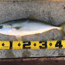 淡路島観光ホテル2日目