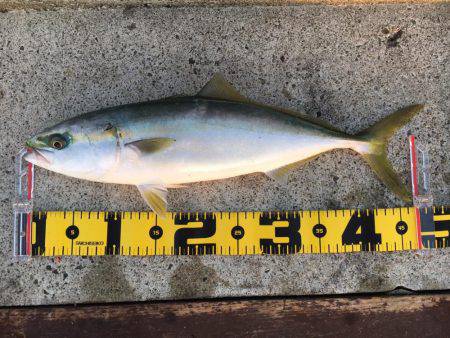 淡路島観光ホテル2日目