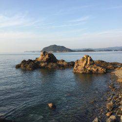 デイエギングでアオリイカ