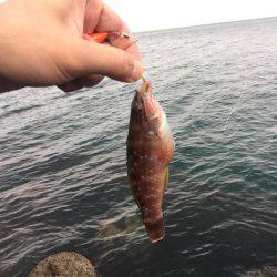 海水温の高いところで