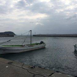 久々のアジング