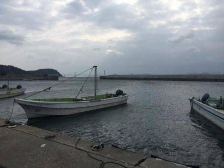 久々のアジング