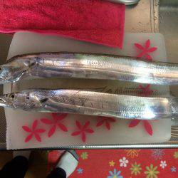 マイポイントで朝練