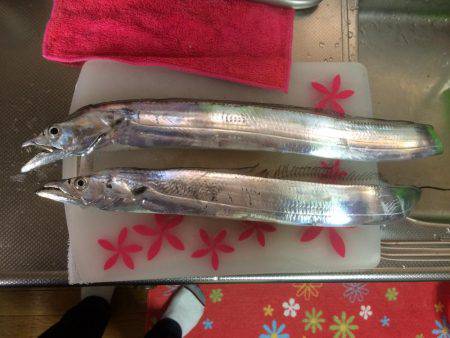 マイポイントで朝練