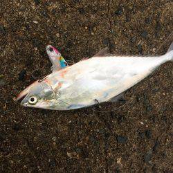 貸切状態やけど渋い