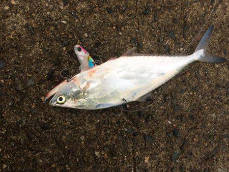 貸切状態やけど渋い