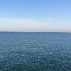 南港周辺のマイポイントで朝練