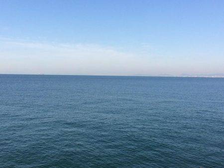 南港周辺のマイポイントで朝練