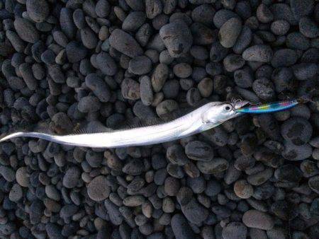 久しぶりの遠征