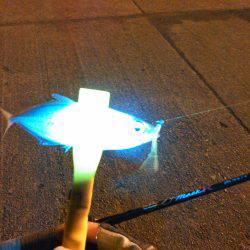 タチウオ&アジング