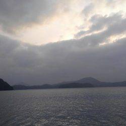 エソしかおらん