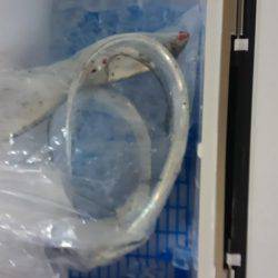 青物が釣りたい！