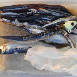 南芦屋浜でメーターオーバー