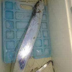 1投目からヒットするも…