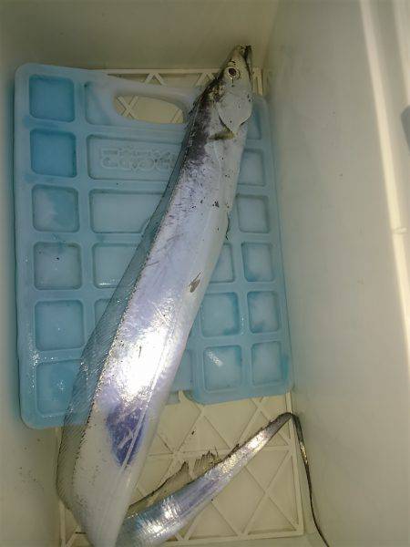 1投目からヒットするも…