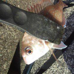 ぽかぽか陽気で