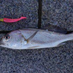 かぶと山公園にて(笑)。