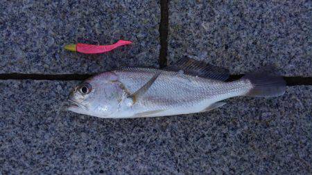 かぶと山公園にて(笑)。