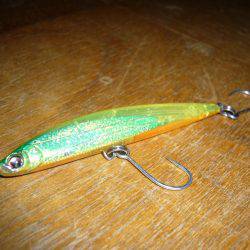 シーバス狙いにて