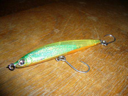 シーバス狙いにて