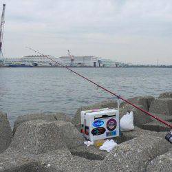 二見水道へ落ちギス調査